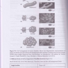 Biology resource book 13