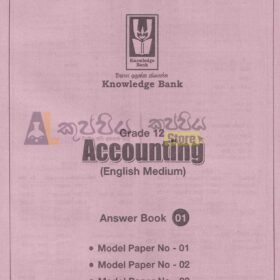 Accounting english medium model