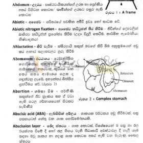 NIE agriculture dictionary