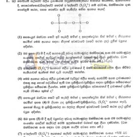 Model structured essay chemistry