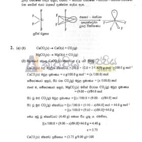 Model structured essay chemistry