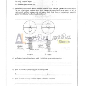 physics school papers answers 2024