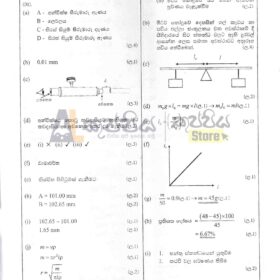 physics school papers answers 2024