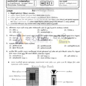 BST past papers 2024